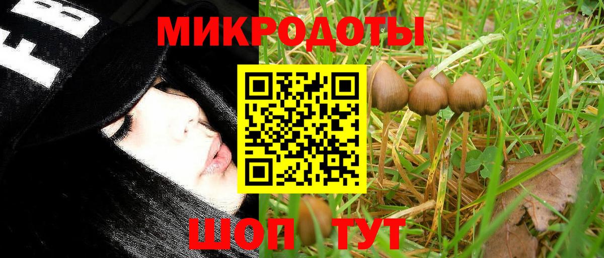 Кушва  Псилоцибиновые грибы мицелий  Вход с VPN 