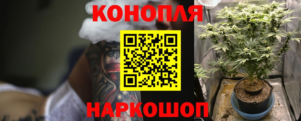 Кушва  Каннабис планчик  Бошки марихуана Amnesia  Вход с VPN  Бошки марихуана планчик  Канабис семена 